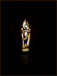 Superliga Trophy