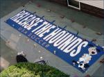 Release the Hounds
